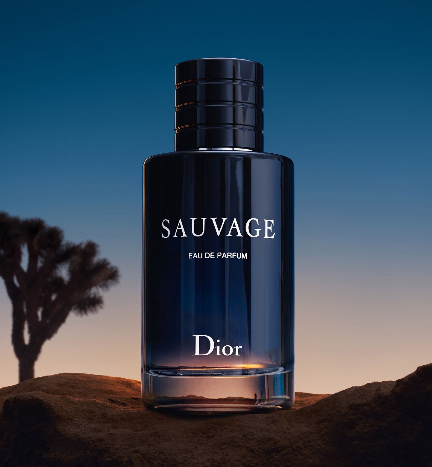 Sauvage Eau de Parfum Spray – 3.4 fl oz (100 ml)